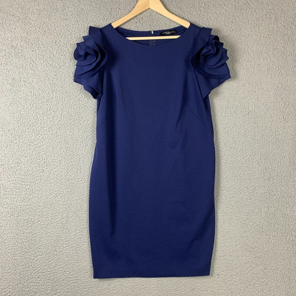 Pietro Brunelli Milano Salisburgo Rose Maternity Dress Large Blue Ruffle Sheath